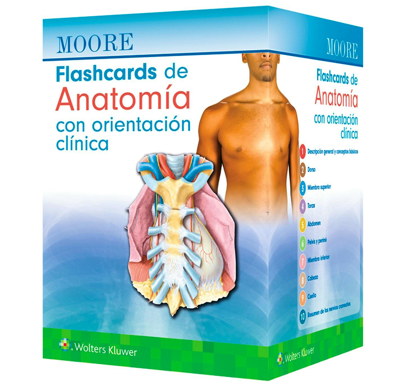 MOORE- FLASHCARDS DE ANATOMIA CON ORIENTACION CLINICA, 1.¦Ed. 2025