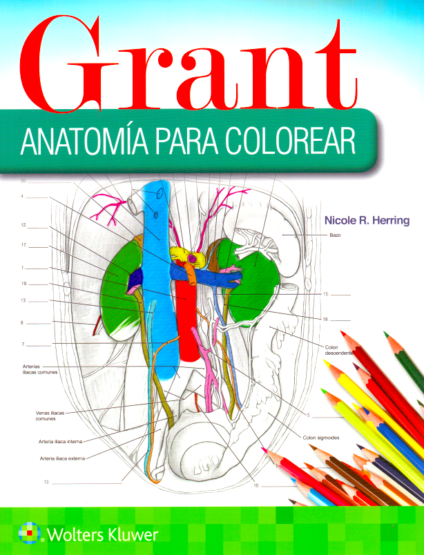 HERRING- GRANT. ANATOMIA PARA COLOREAR, 1¦.Ed. 2019